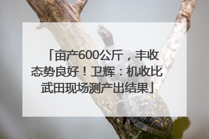 亩产600公斤，丰收态势良好！卫辉：机收比武田现场测产出结果