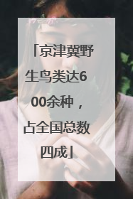 京津冀野生鸟类达600余种，占全国总数四成