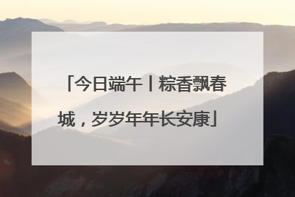 今日端午丨粽香飘春城，岁岁年年长安康