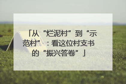 从“烂泥村”到“示范村”：看这位村支书的“振兴答卷”