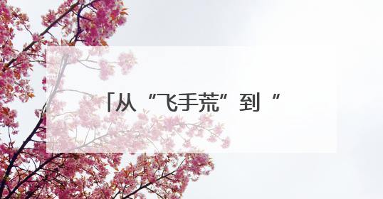 从“飞手荒”到“新农人” 激活乡村振兴“新引擎”