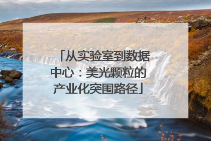 从实验室到数据中心：美光颗粒的产业化突围路径