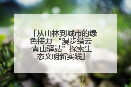 从山林到城市的绿色接力 “漫步缙云·青山驿站”探索生态文明新实践