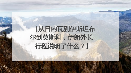 从日内瓦到伊斯坦布尔到莫斯科，伊朗外长行程说明了什么？