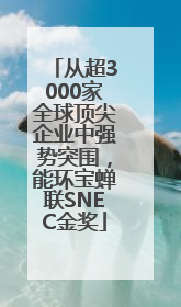 从超3000家全球顶尖企业中强势突围，能环宝蝉联SNEC金奖