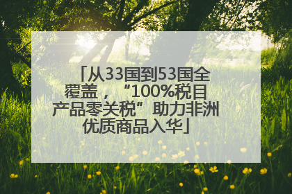 从33国到53国全覆盖，“100%税目产品零关税”助力非洲优质商品入华