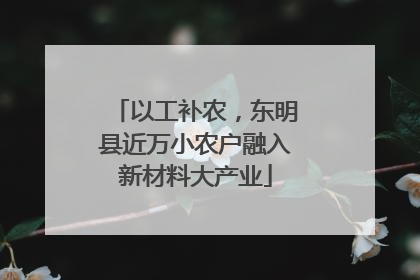以工补农，东明县近万小农户融入新材料大产业