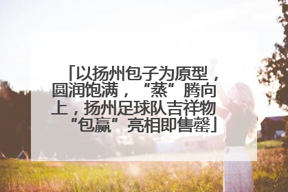以扬州包子为原型，圆润饱满，“蒸”腾向上，扬州足球队吉祥物“包赢”亮相即售罄