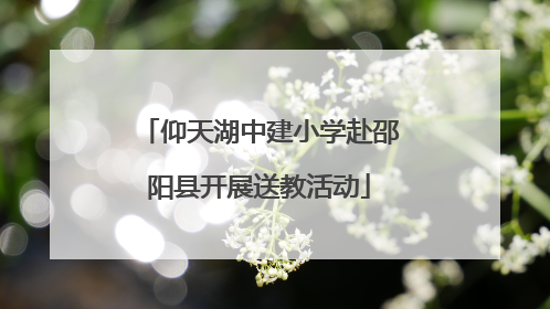 仰天湖中建小学赴邵阳县开展送教活动