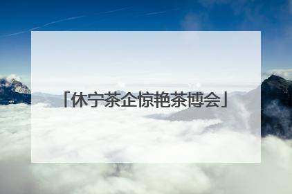 休宁茶企惊艳茶博会