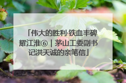 伟大的胜利·铁血丰碑耀江淮⑥｜茅山工委副书记洪天诚的亲笔信