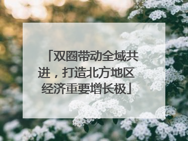 双圈带动全域共进，打造北方地区经济重要增长极