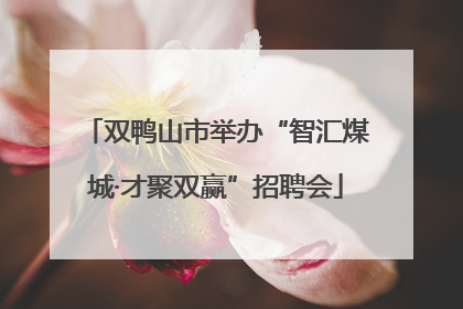 双鸭山市举办“智汇煤城·才聚双赢”招聘会