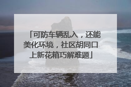 可防车辆乱入，还能美化环境，社区胡同口上新花箱巧解难题