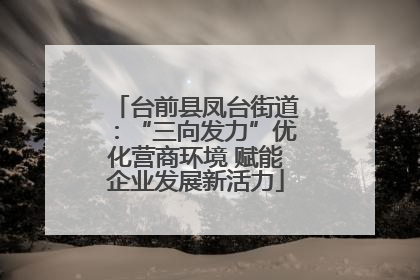 台前县凤台街道：“三向发力”优化营商环境 赋能企业发展新活力