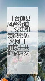 台前县凤台街道：党建引领织密防火网 干群携手共护家园安