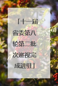 十一届省委第八轮第二批次巡视完成进驻