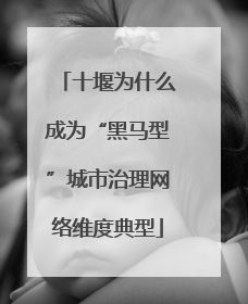 十堰为什么成为“黑马型”城市治理网络维度典型