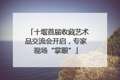 十堰首届收藏艺术品交流会开启，专家现场“掌眼”