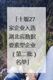 十堰27家企业入选湖北省数据要素型企业（第二批）名单