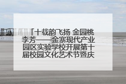 十载韵飞扬 金园桃李芳——金寨现代产业园区实验学校开展第十届校园文化艺术节暨庆“六一”系列活动