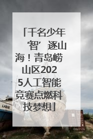 千名少年‘智’逐山海！青岛崂山区2025人工智能竞赛点燃科技梦想
