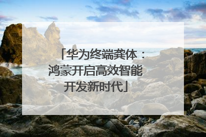 华为终端龚体：鸿蒙开启高效智能开发新时代