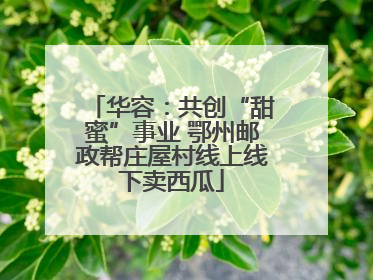 华容：共创“甜蜜”事业 鄂州邮政帮庄屋村线上线下卖西瓜