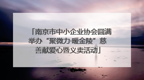 南京市中小企业协会圆满举办“聚微力·暖金陵”慈善献爱心暨义卖活动