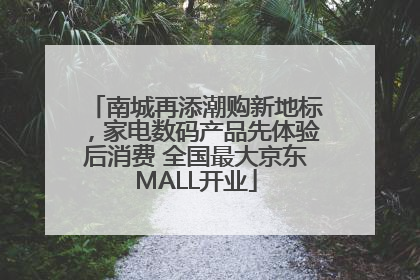 南城再添潮购新地标，家电数码产品先体验后消费 全国最大京东MALL开业