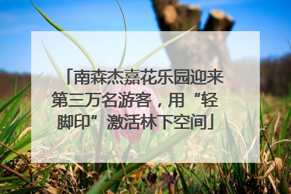 南森杰嘉花乐园迎来第三万名游客，用“轻脚印”激活林下空间