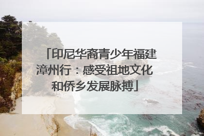 印尼华裔青少年福建漳州行：感受祖地文化和侨乡发展脉搏