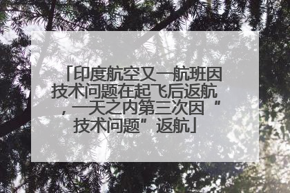 印度航空又一航班因技术问题在起飞后返航，一天之内第三次因“技术问题”返航