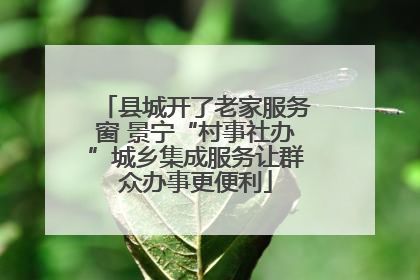 县城开了老家服务窗 景宁“村事社办”城乡集成服务让群众办事更便利