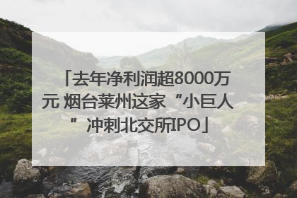 去年净利润超8000万元 烟台莱州这家“小巨人”冲刺北交所IPO