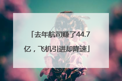 去年航司赚了44.7亿，飞机引进却降速