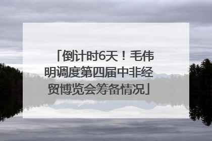 倒计时6天！毛伟明调度第四届中非经贸博览会筹备情况