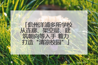 儋州洋浦多所学校从连廊、架空层、建筑朝向等入手 着力打造“清凉校园”