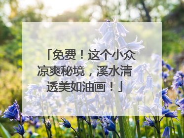 免费！这个小众凉爽秘境，溪水清透美如油画！