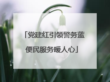 党建红引领警务蓝 便民服务暖人心