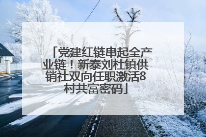 党建红链串起全产业链！新泰刘杜镇供销社双向任职激活8村共富密码