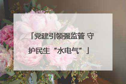 党建引领强监管 守护民生“水电气”