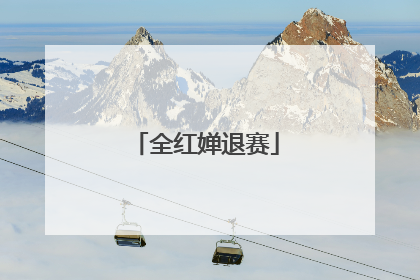 全红婵退赛