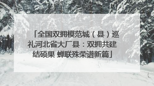 全国双拥模范城（县）巡礼河北省大厂县：双拥共建结硕果 蝉联殊荣谱新篇