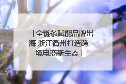 全链条赋能品牌出海 浙江衢州打造跨境电商新生态