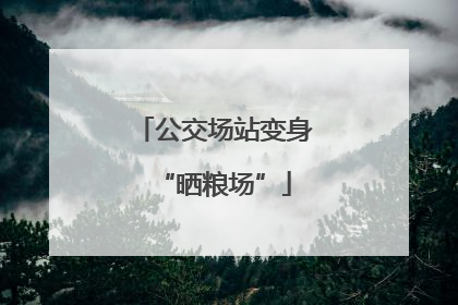 公交场站变身“晒粮场”
