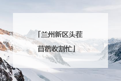 兰州新区头茬苜蓿收割忙