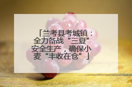 兰考县考城镇：全力备战“三夏”安全生产，确保小麦“丰收在仓”