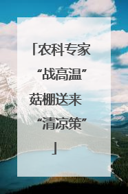 农科专家“战高温” 菇棚送来“清凉策”
