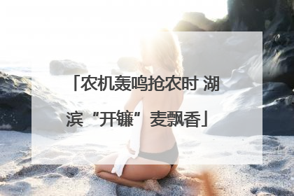 农机轰鸣抢农时 湖滨“开镰”麦飘香